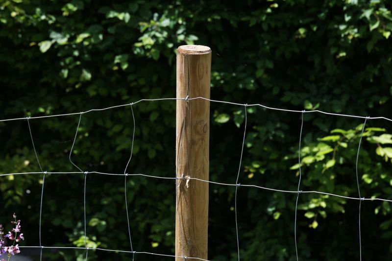 Pine Fence Installation in Pearland, TX